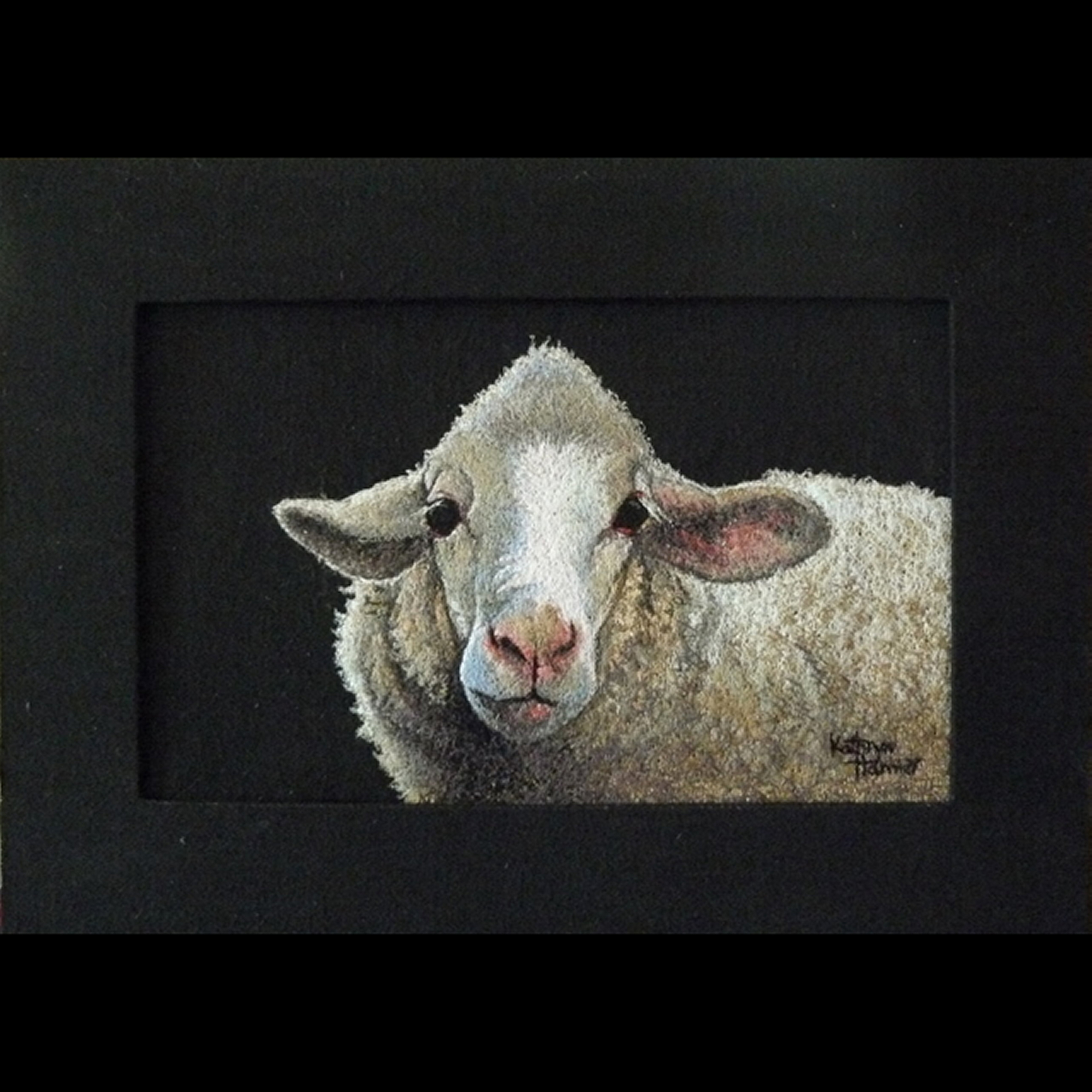 Portrait of a Sheep Named Jeanette 2